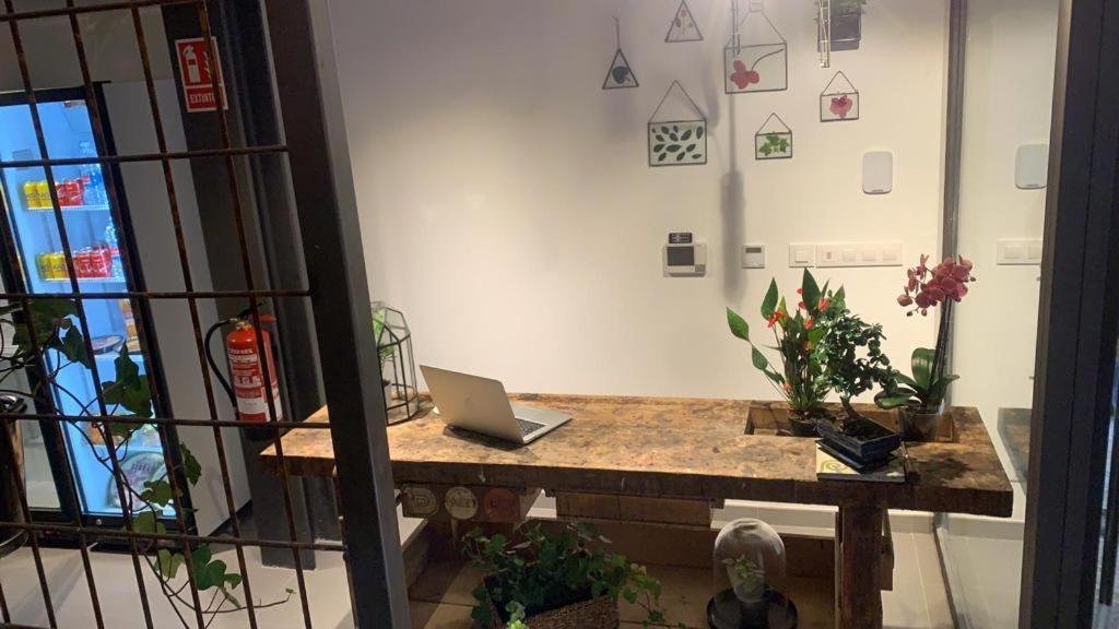 Vtz The Botanic Hostel Zaragoza Dış mekan fotoğraf