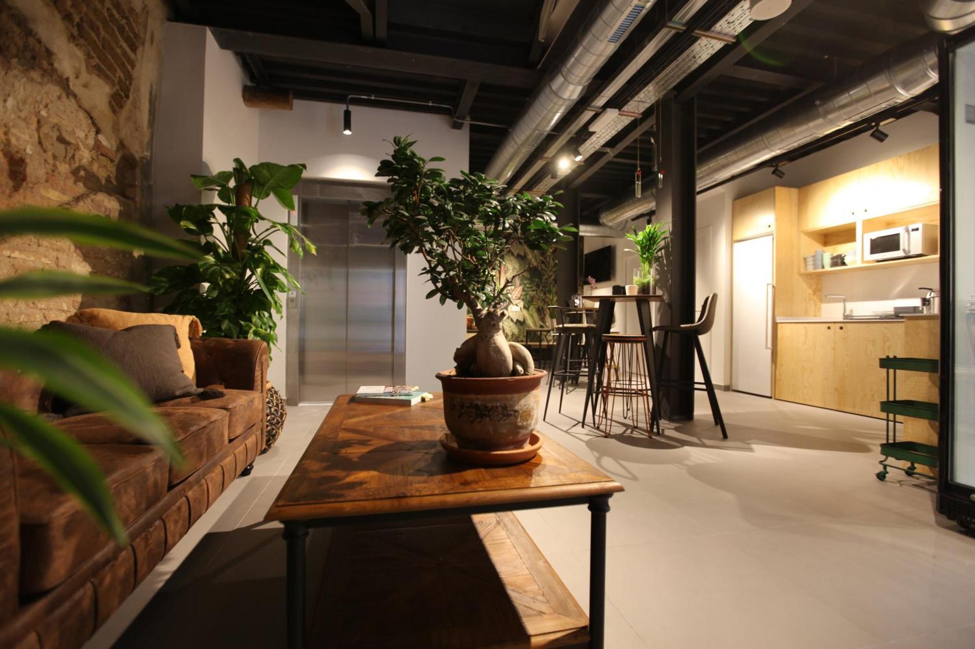 Vtz The Botanic Hostel Zaragoza Dış mekan fotoğraf