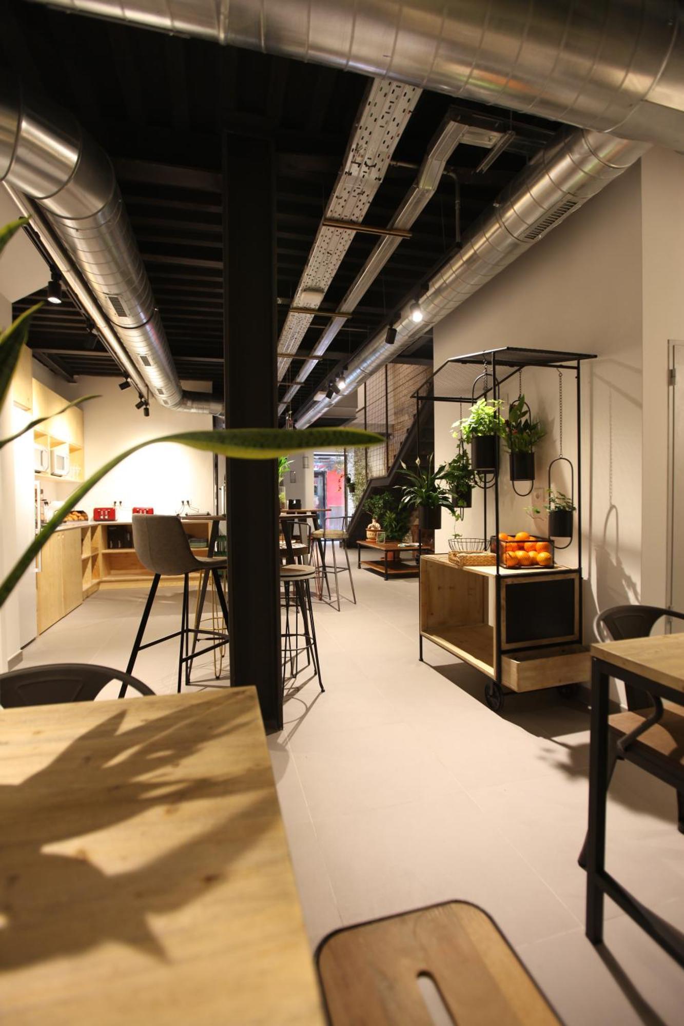 Vtz The Botanic Hostel Zaragoza Dış mekan fotoğraf